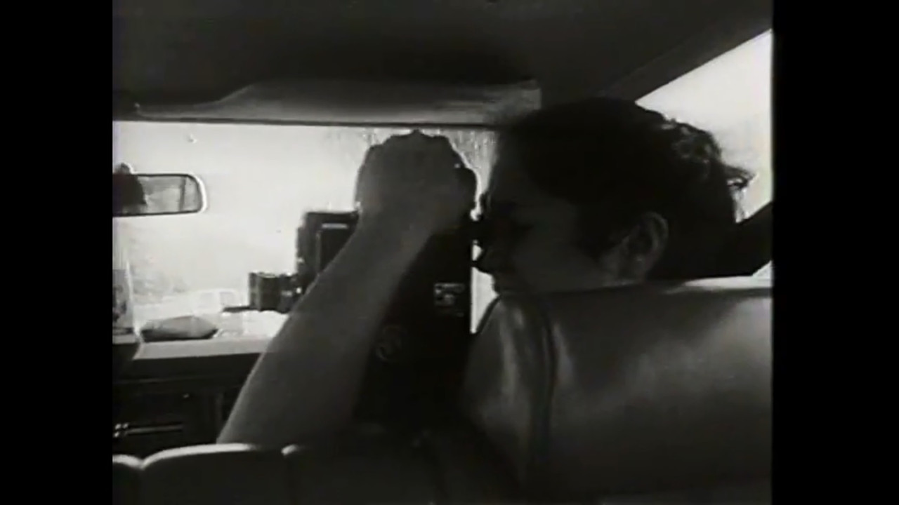 Road Movie or What I Learned in a Buick Station Wagon backdrop