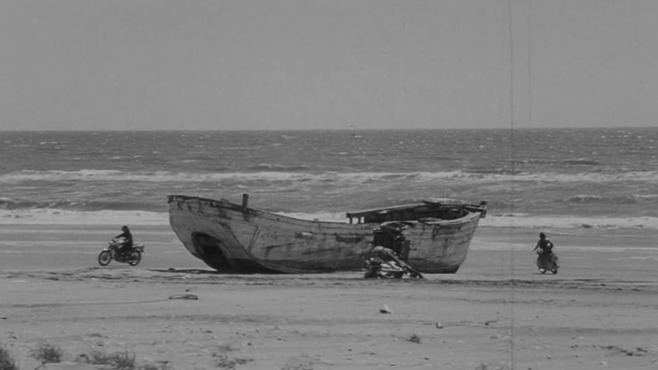 Secret Flower backdrop