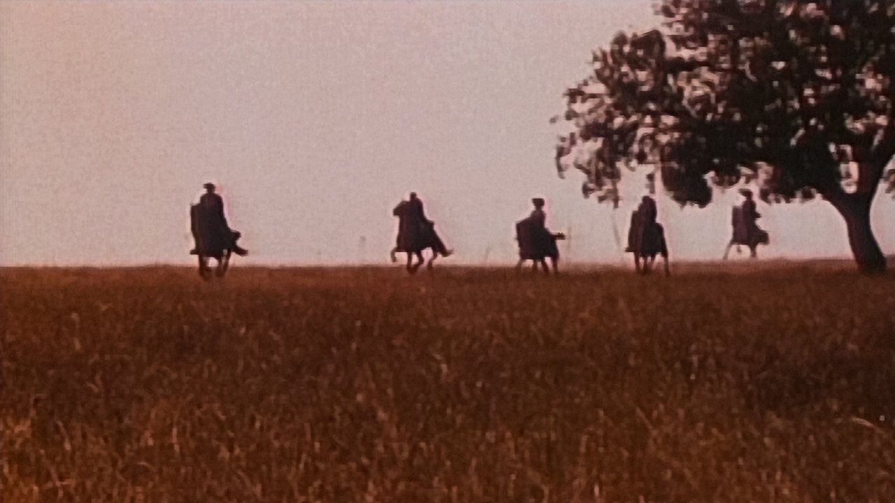 Alentejo Sem Lei backdrop