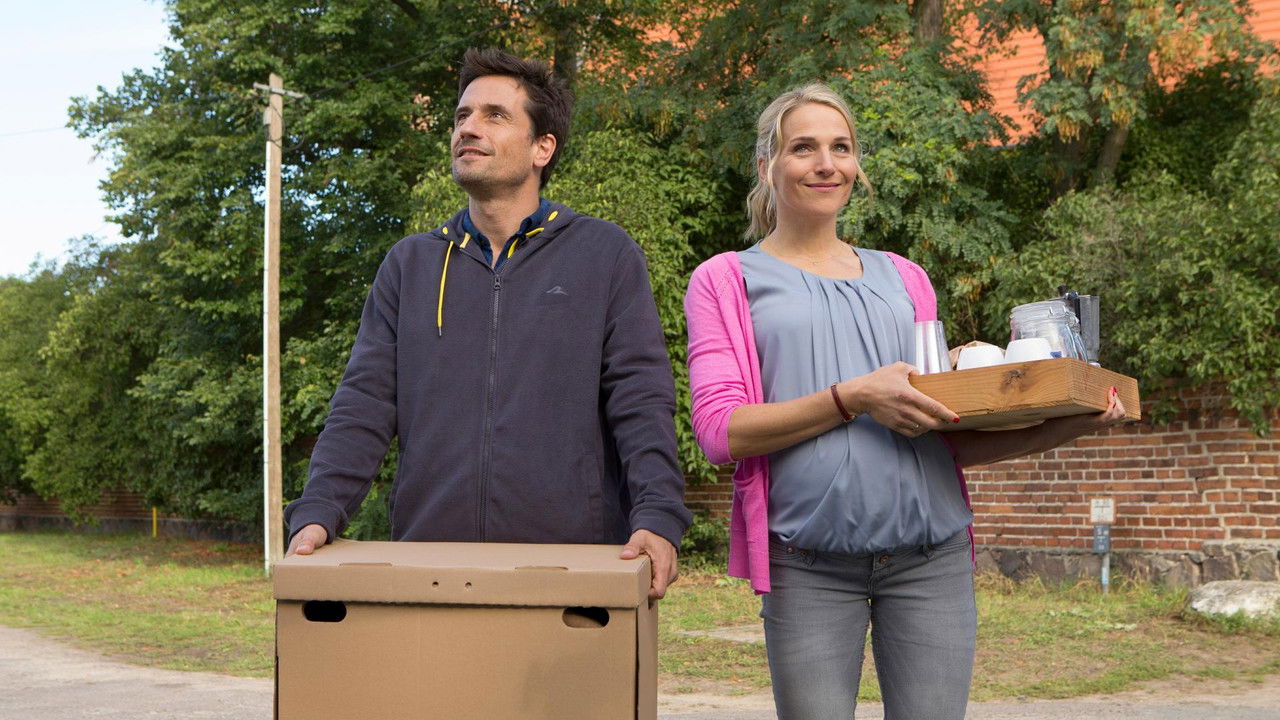 Handwerker und andere Katastrophen backdrop