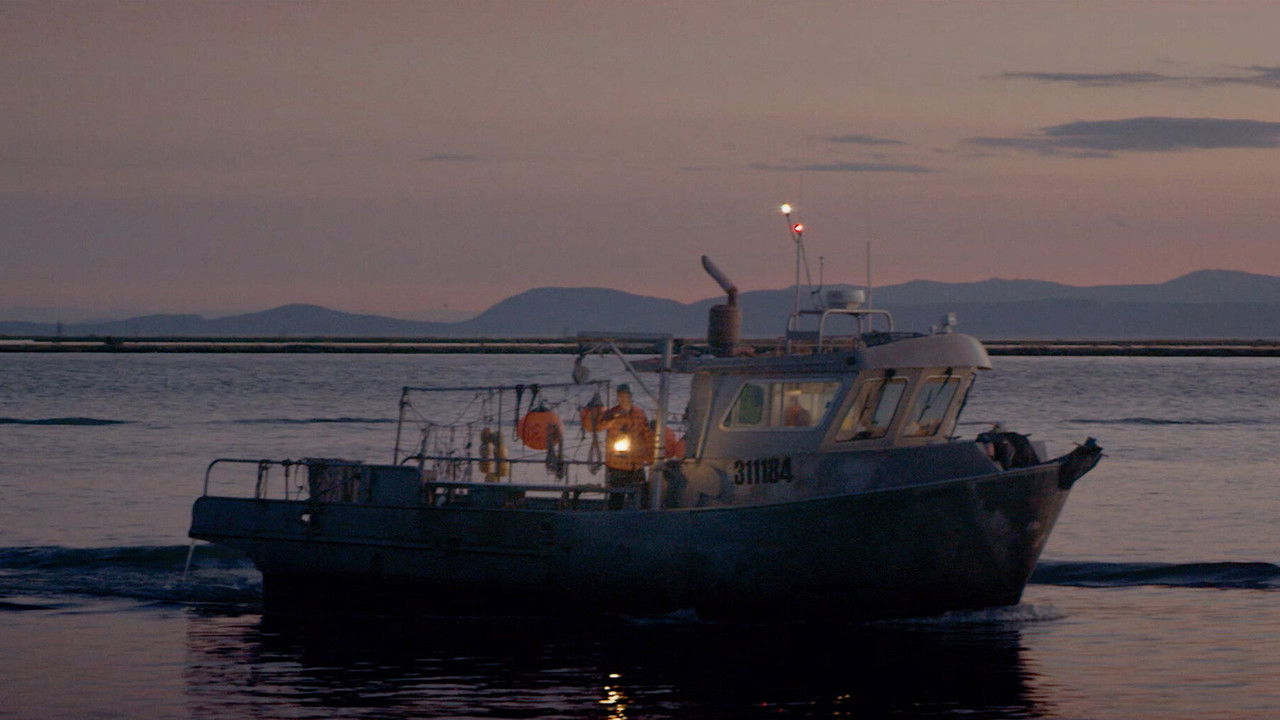 Floating Light backdrop