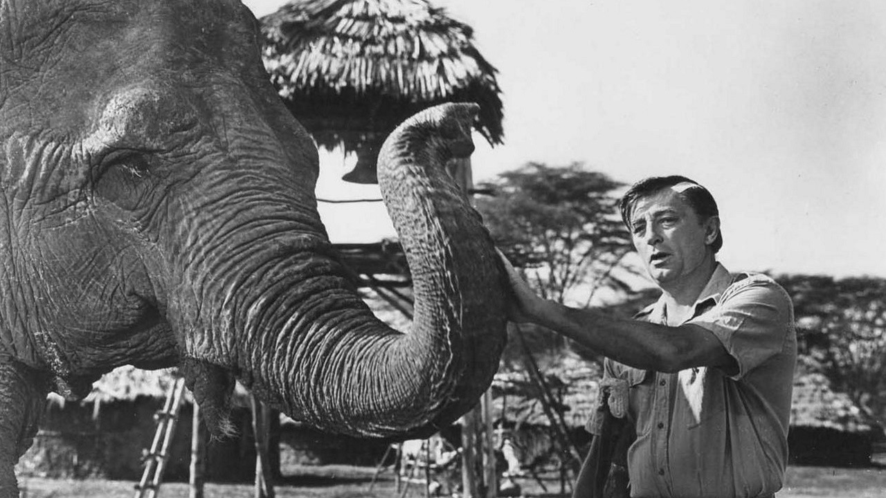 Mister Moses backdrop