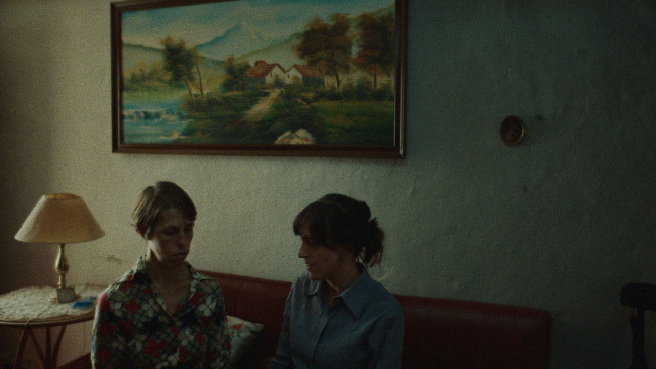 Ningú borda backdrop