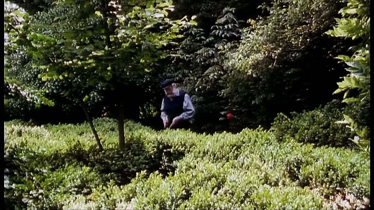 Chronique vigneronne backdrop