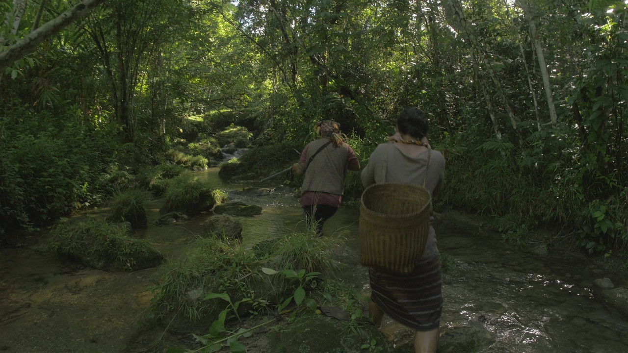 Tu Pug Imatuy backdrop