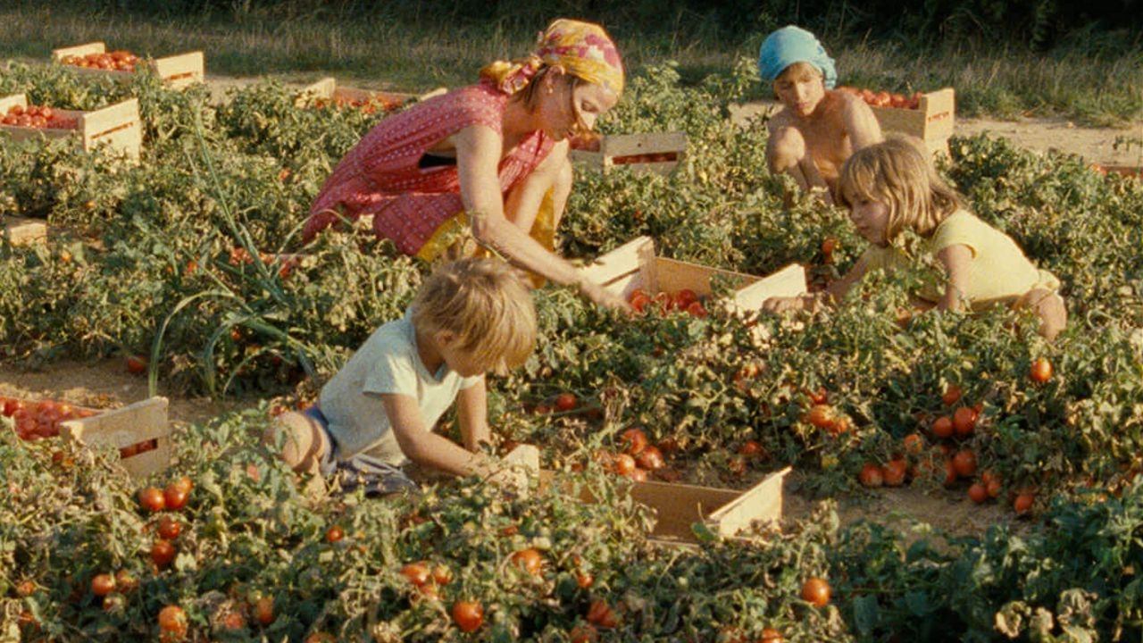Will It Snow for Christmas? backdrop