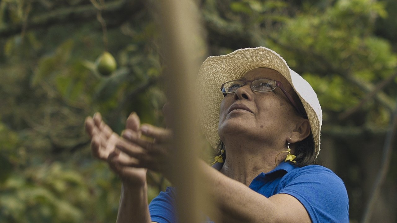 Tierra de mujeres backdrop