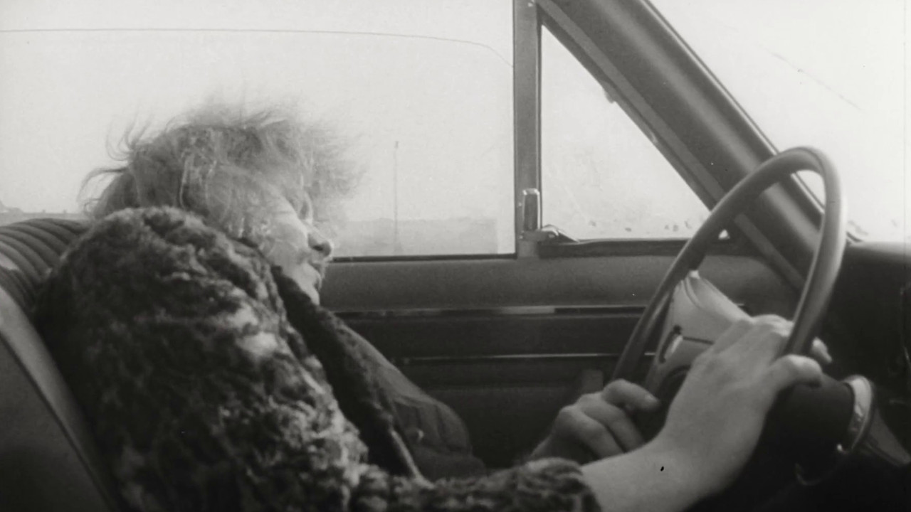 Auf Scheisser schiesst man nicht backdrop