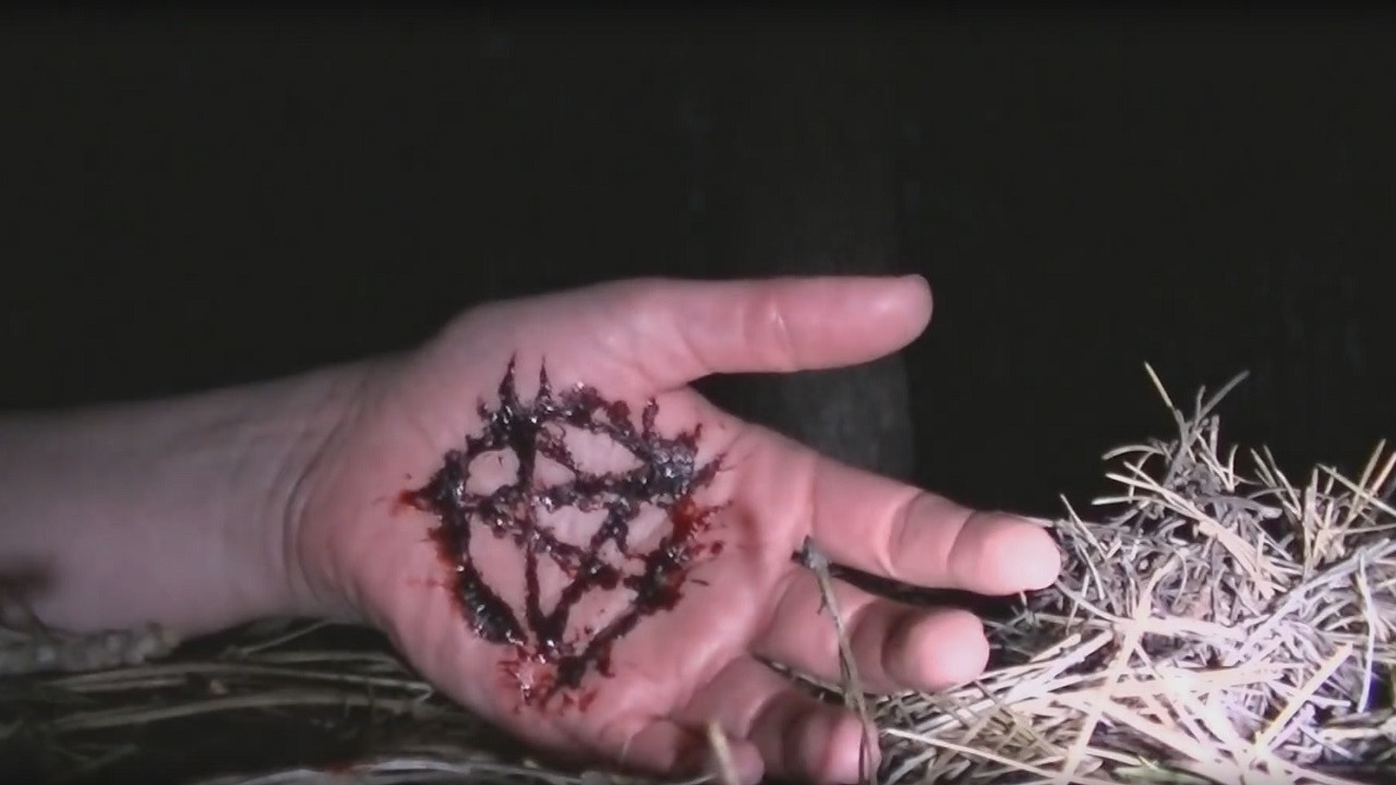 The Warning backdrop