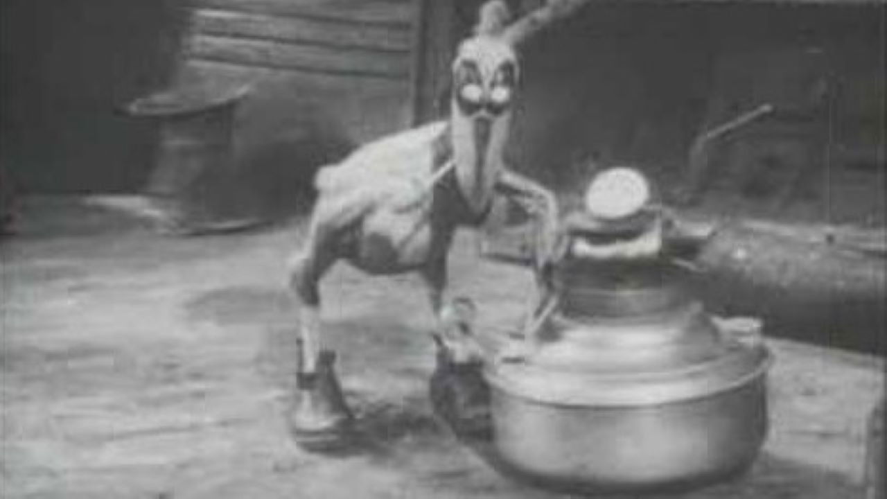 It's a Bird backdrop