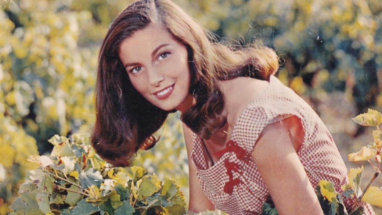 The Vintage backdrop