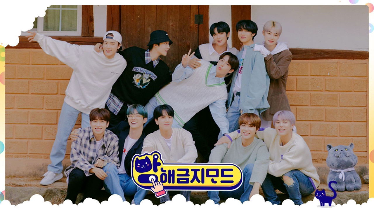 DND (Do Not Disturb) THE BOYZ backdrop