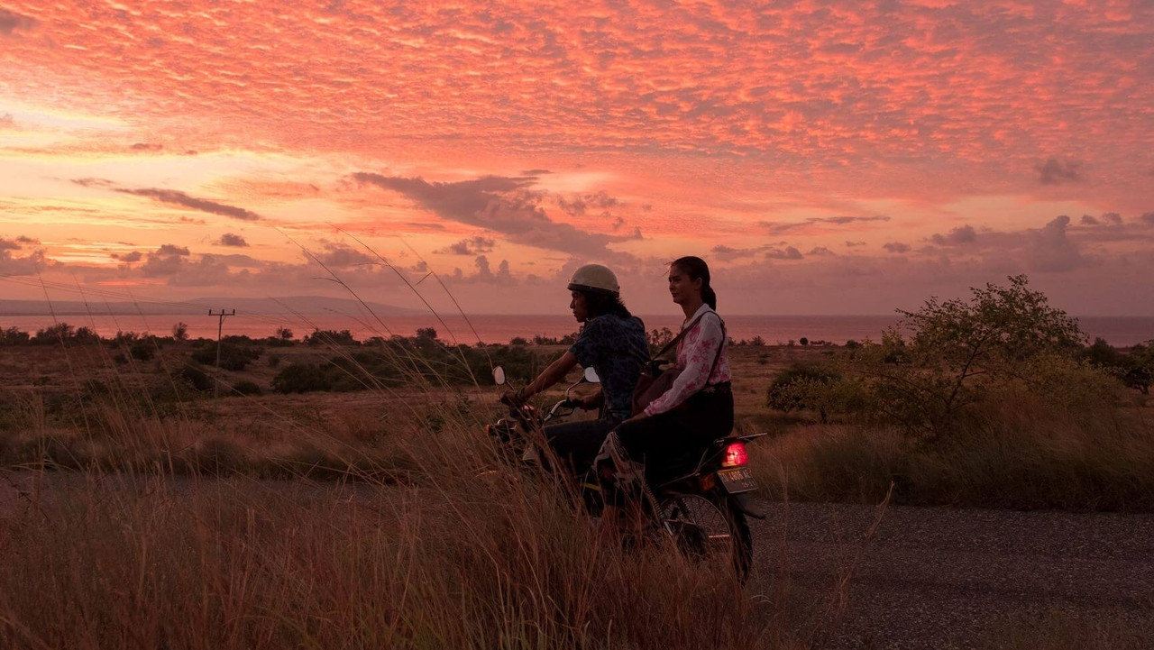 Humba Dreams backdrop