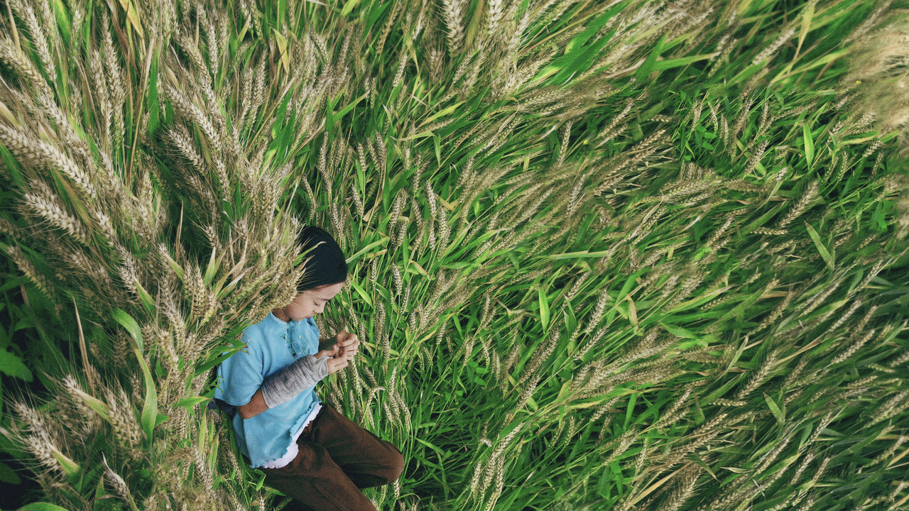 Nighttime Sounds backdrop