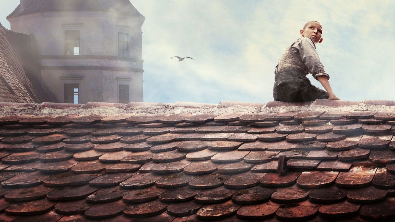 Fog in August backdrop