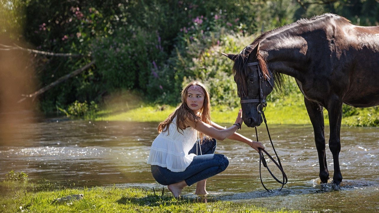 Immenhof - Das große Versprechen backdrop