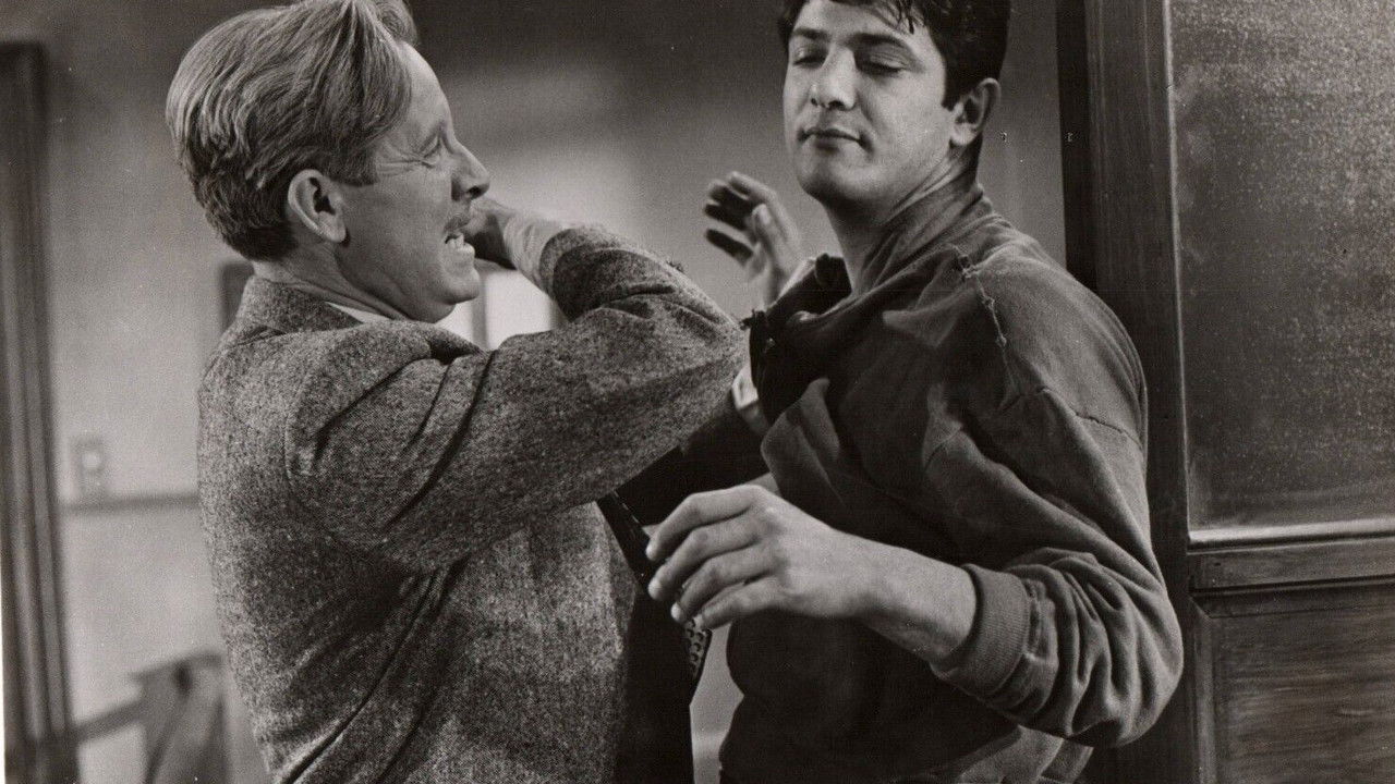 The Violators backdrop