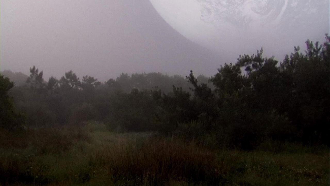 The Outer Space Forest backdrop