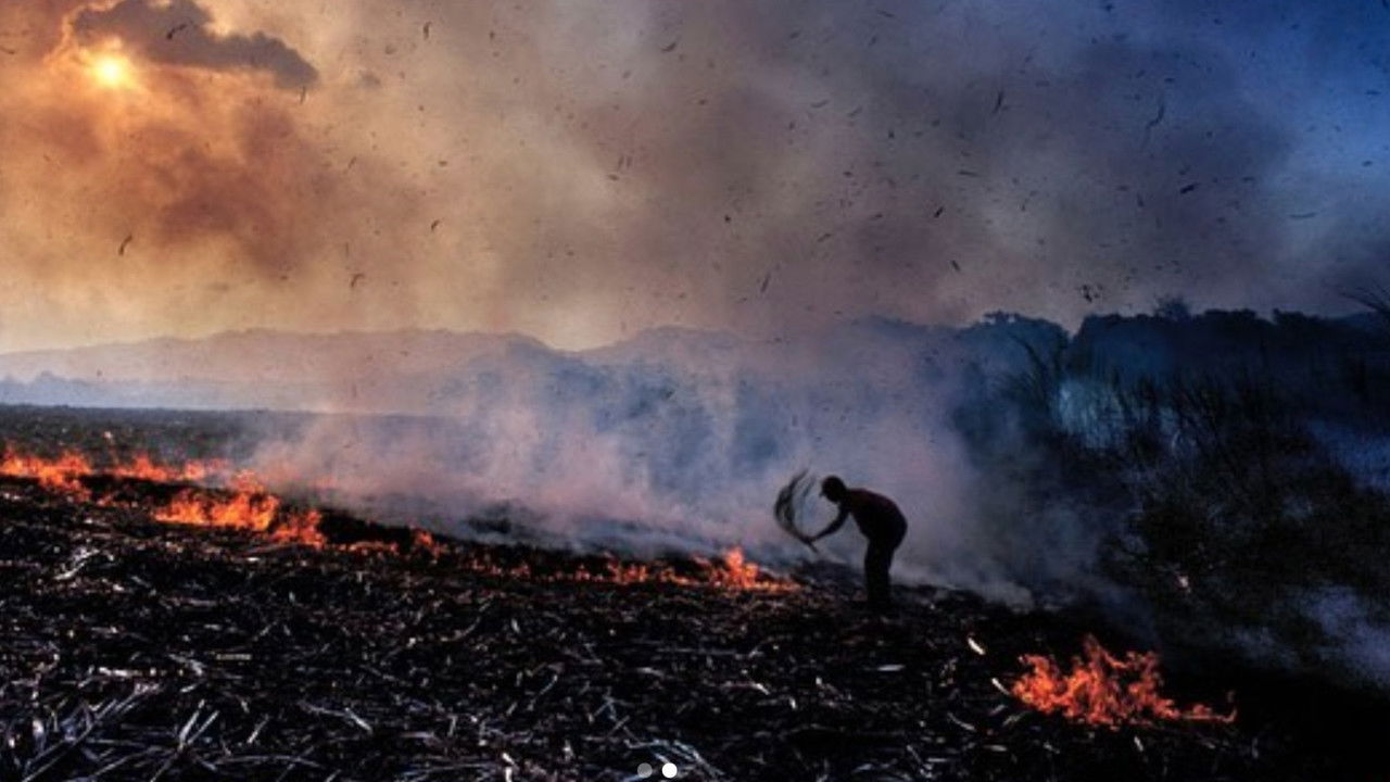 Brûlé neige backdrop