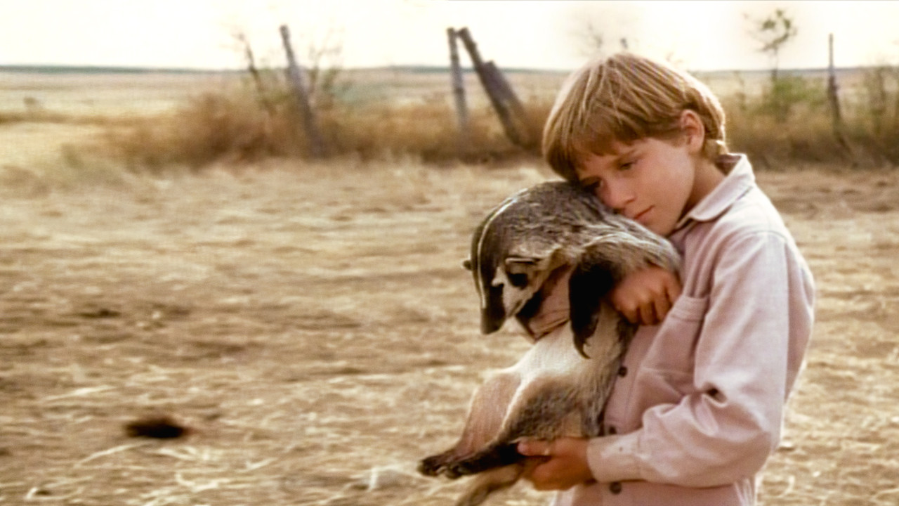 The Boy Who Talked to Badgers backdrop