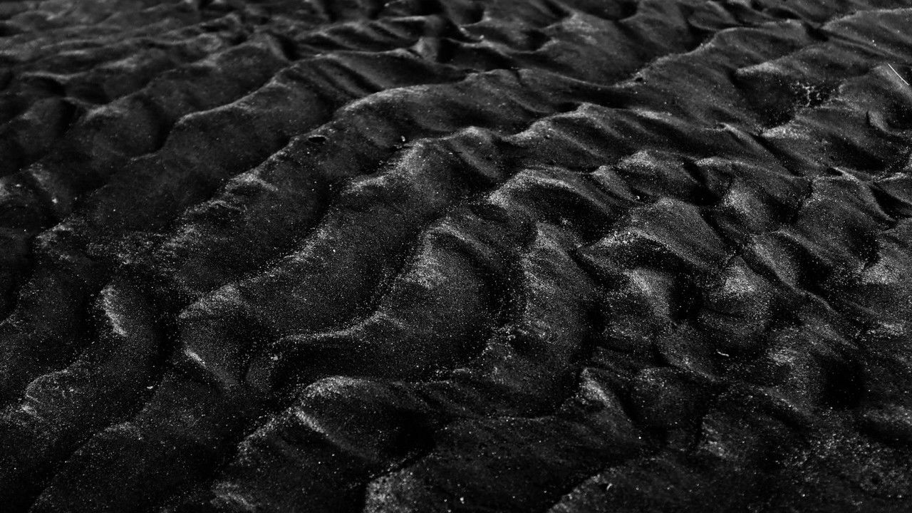 Harmony Inc. backdrop