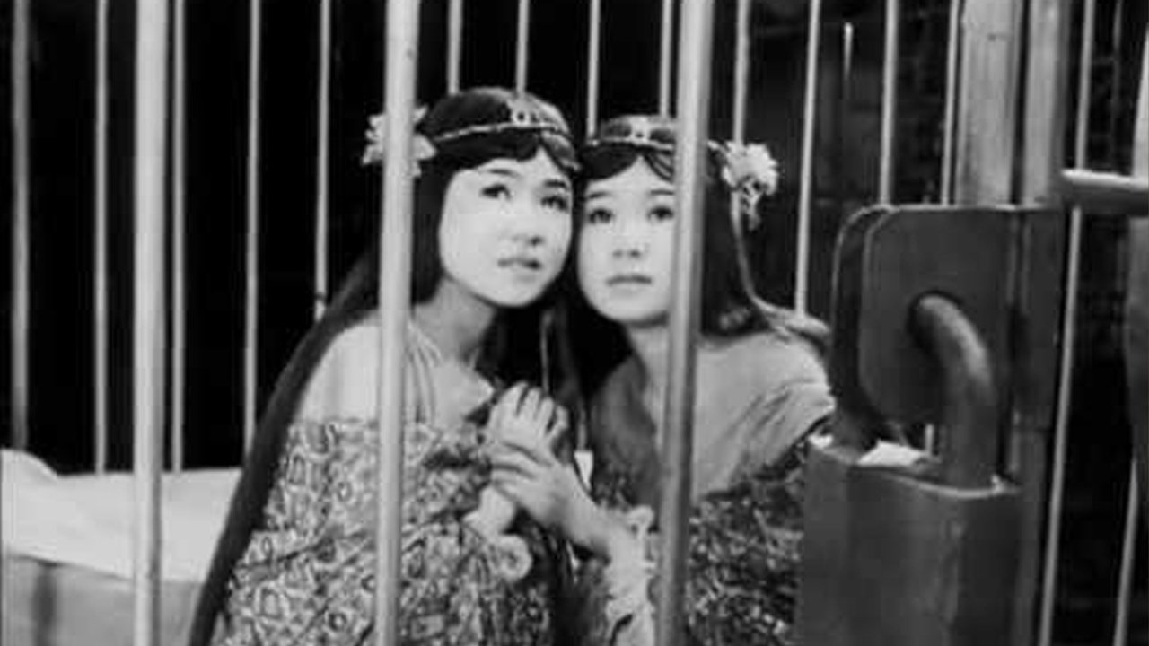 The Women of Godzilla backdrop