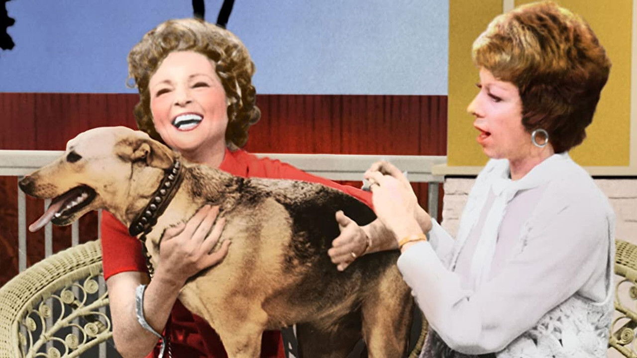 The Pet Set backdrop