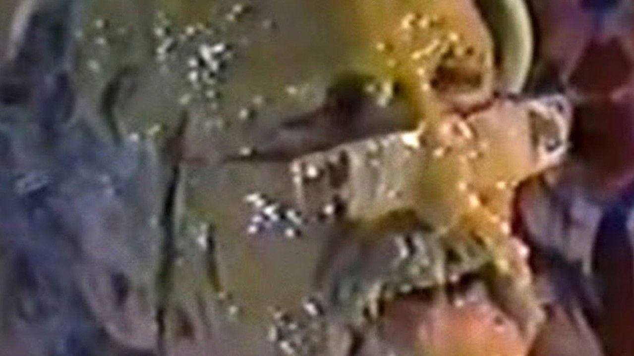 The Brainsucker backdrop