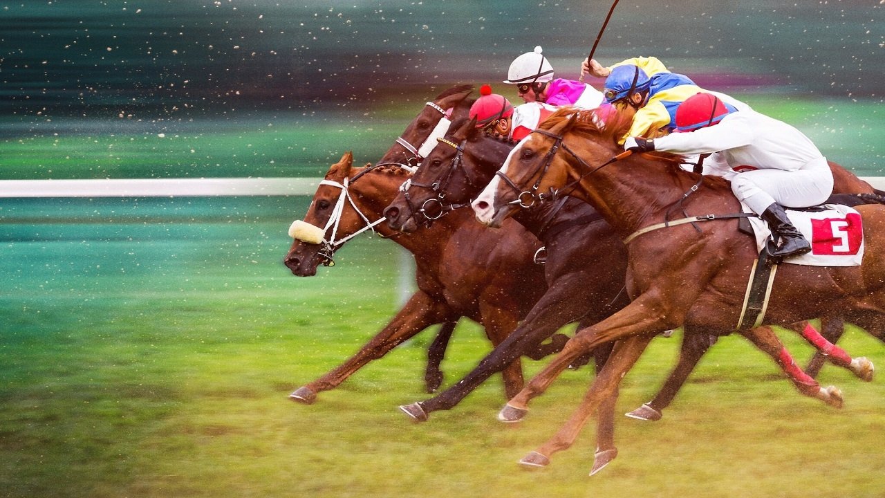 Race for the Crown backdrop