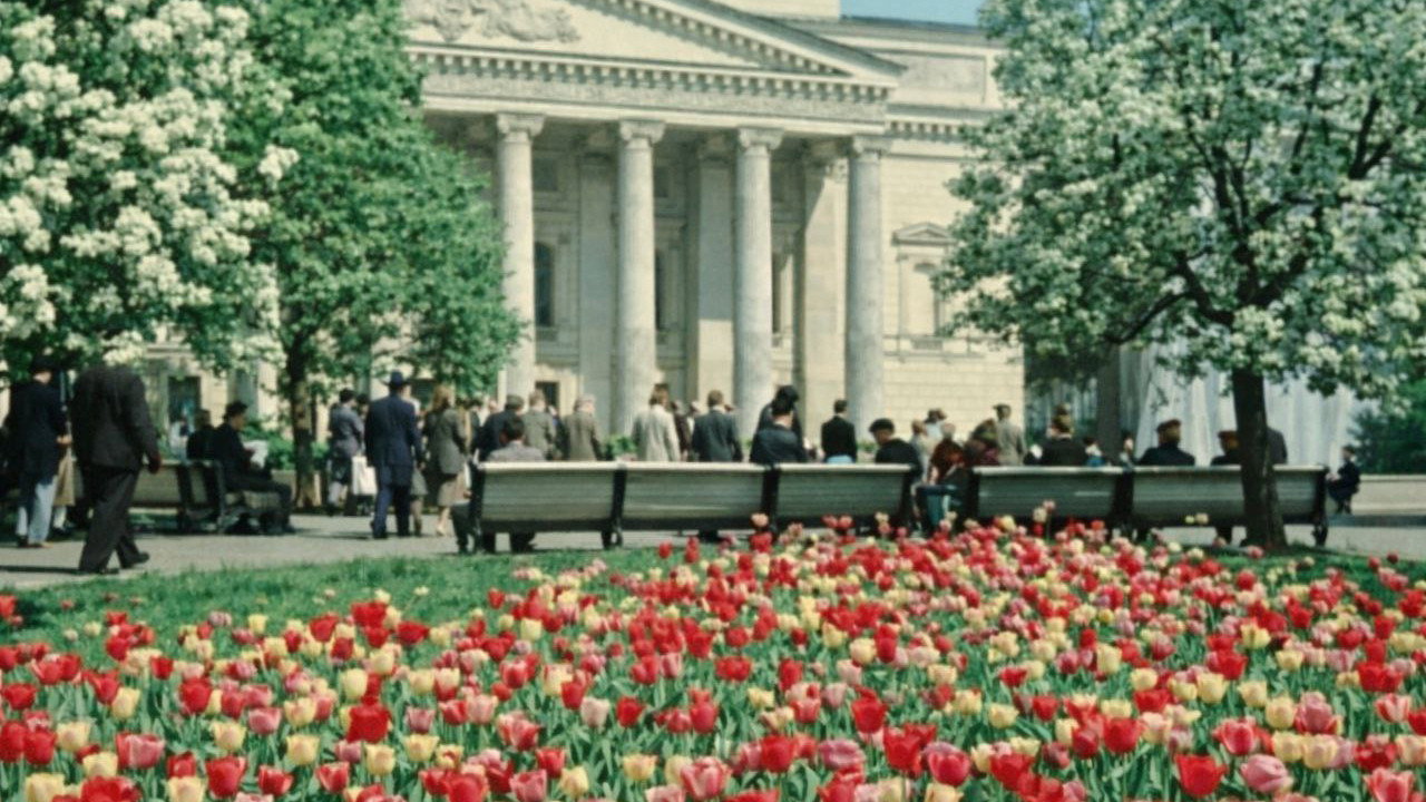 About Moscow and Muscovites backdrop