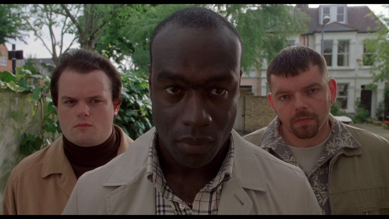 Dog Eat Dog backdrop