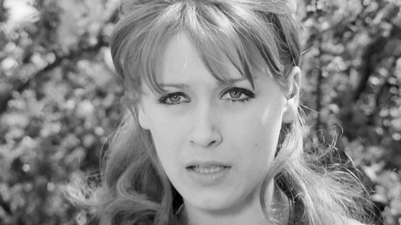 The Ladykiller backdrop