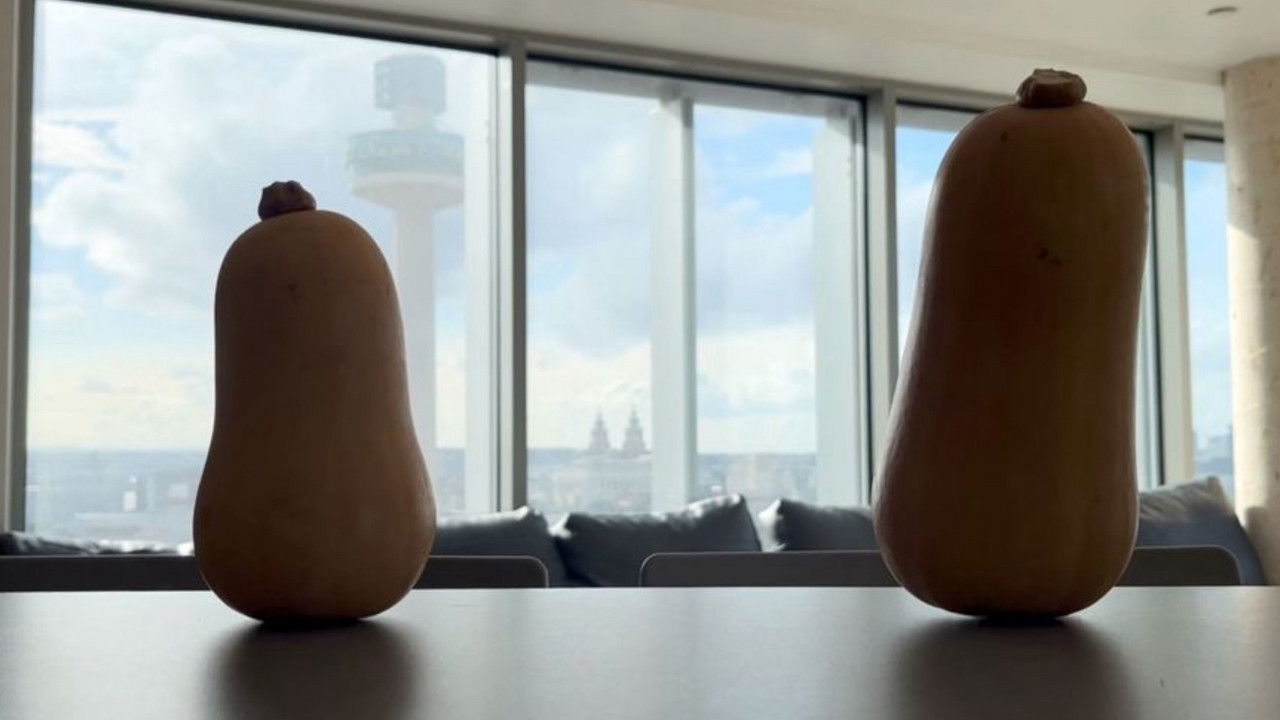 Squash Your Dreams backdrop