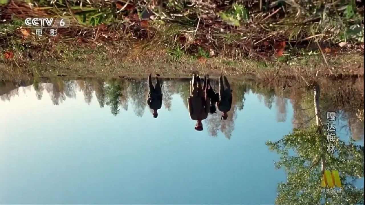 Gada Meilin backdrop