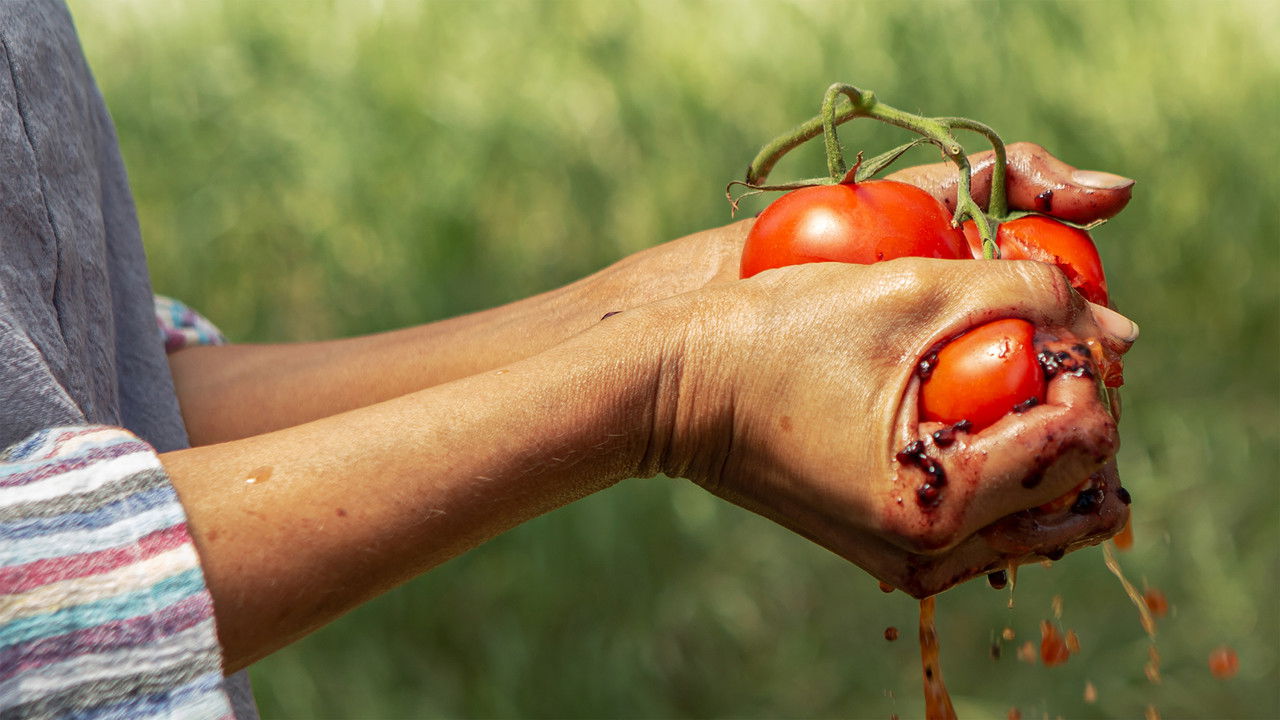 Gods of Food backdrop