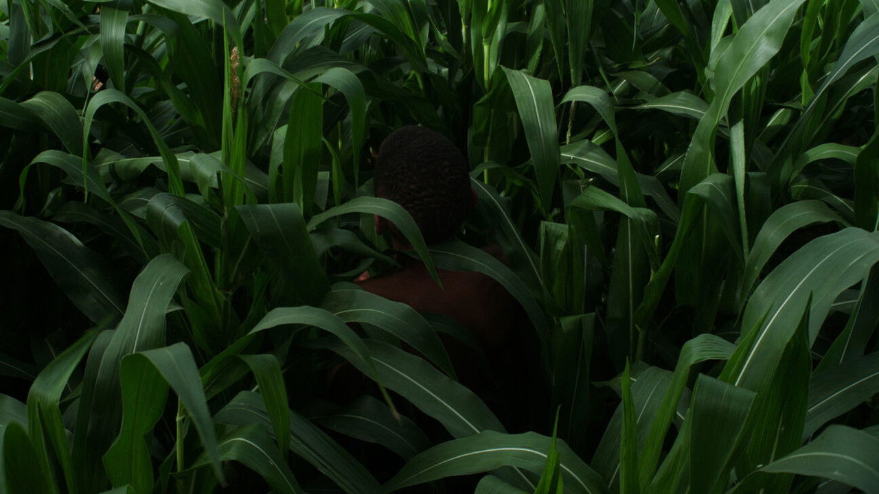 The Last Harvest backdrop