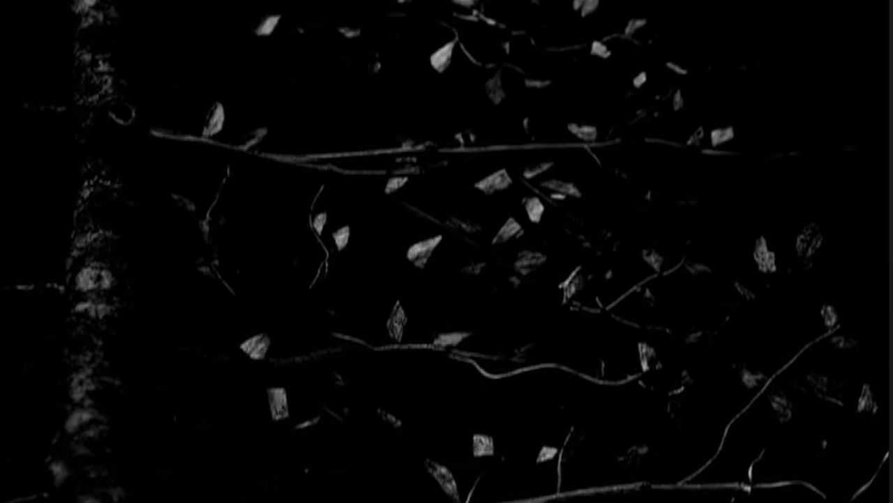 Gojira: Live at Garorock backdrop