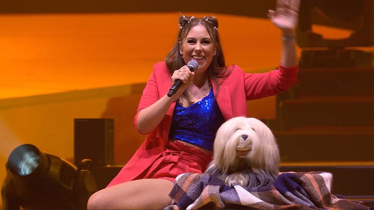 De Grote Sinterklaasshow backdrop