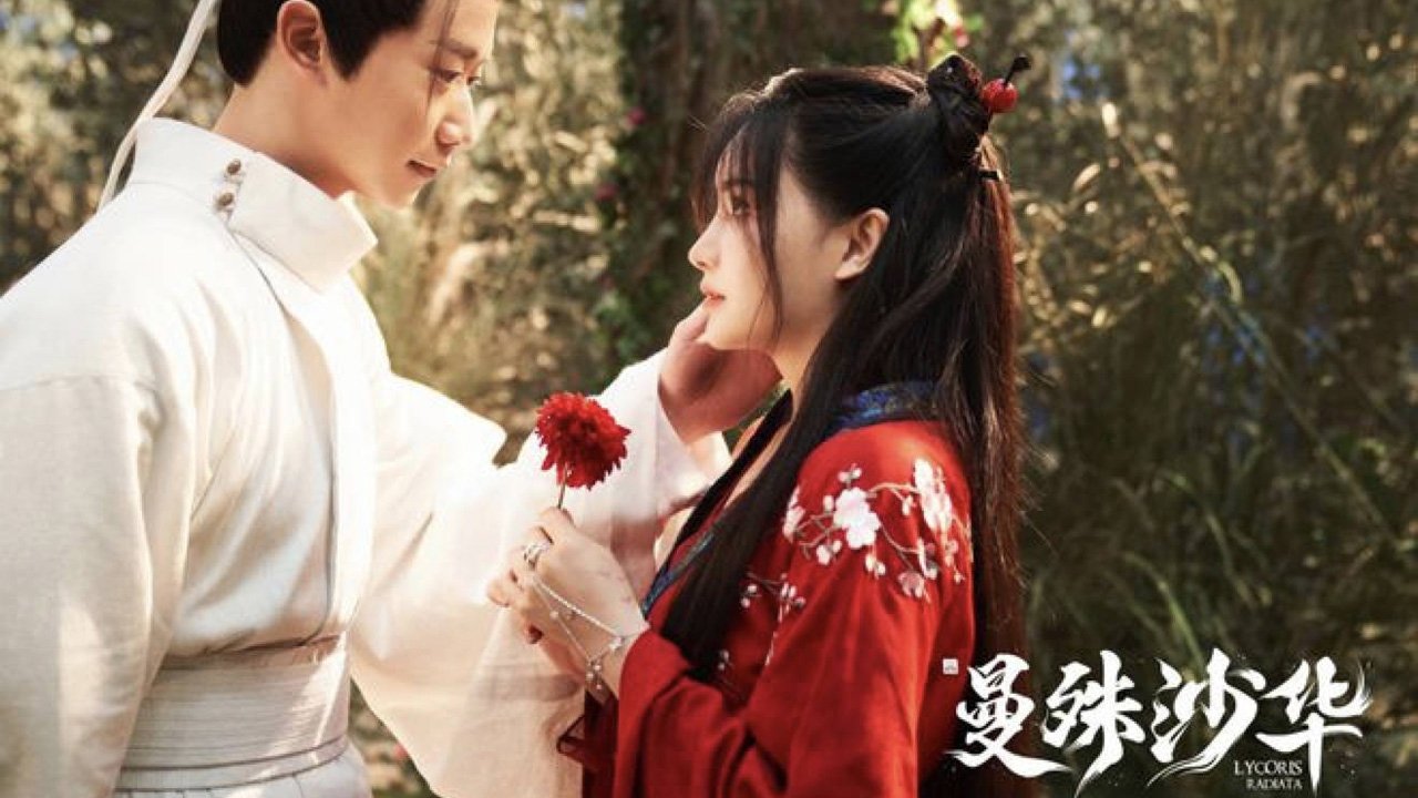 Lycoris Radiata backdrop