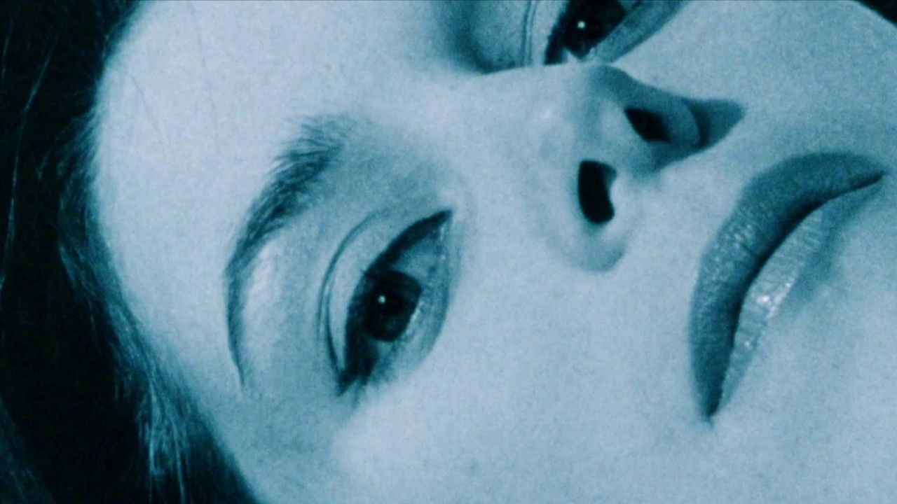 A Preponderance of Evidence backdrop