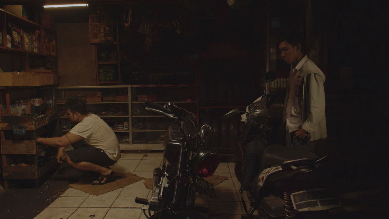 Chorus of the Wounded Birds backdrop