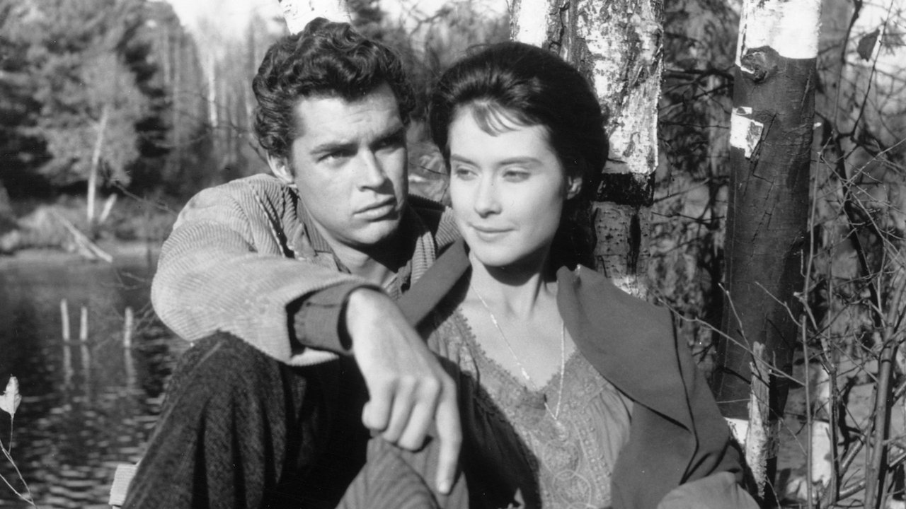 Hemingway’s Adventures of a Young Man backdrop