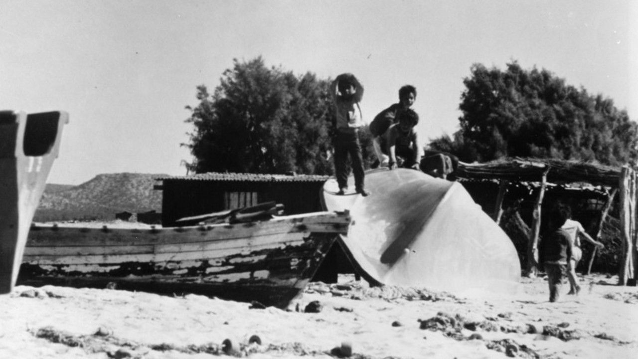 Those Who Live Where the Soft Wind Blows backdrop