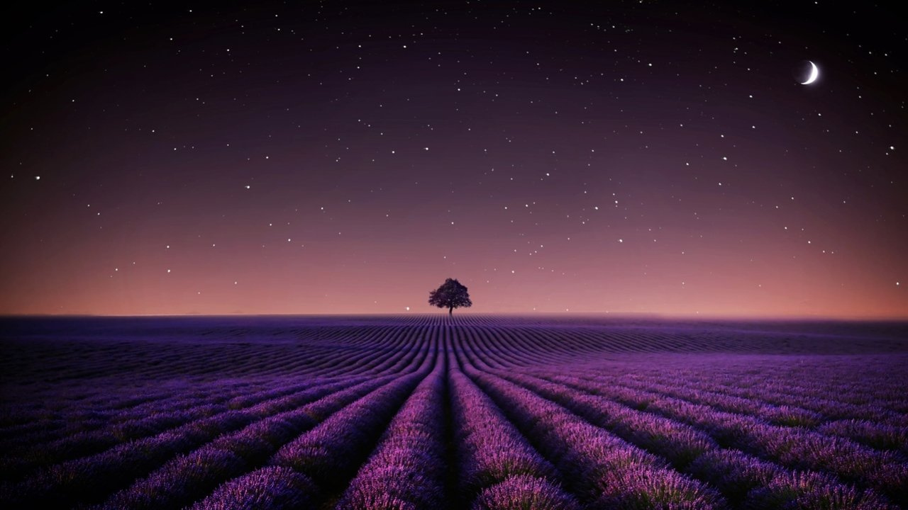 Adieu Aurora backdrop