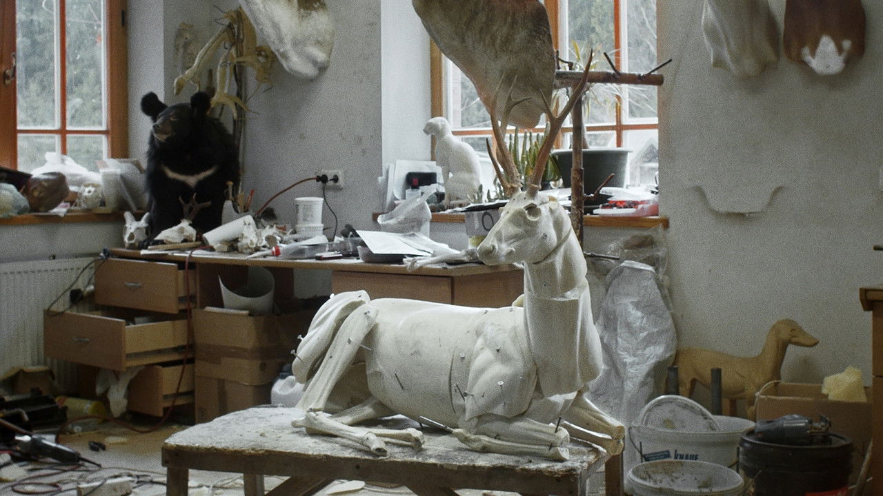 Animus Animalis (A Story about People, Animals and Things) backdrop