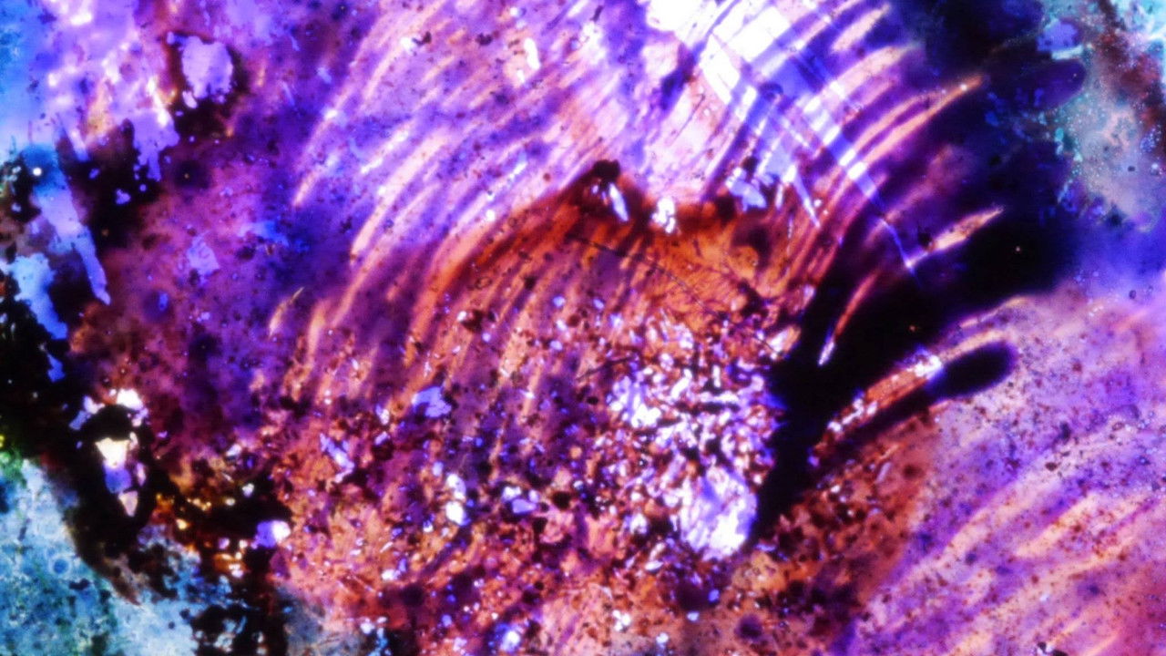 Elementary Phrases backdrop