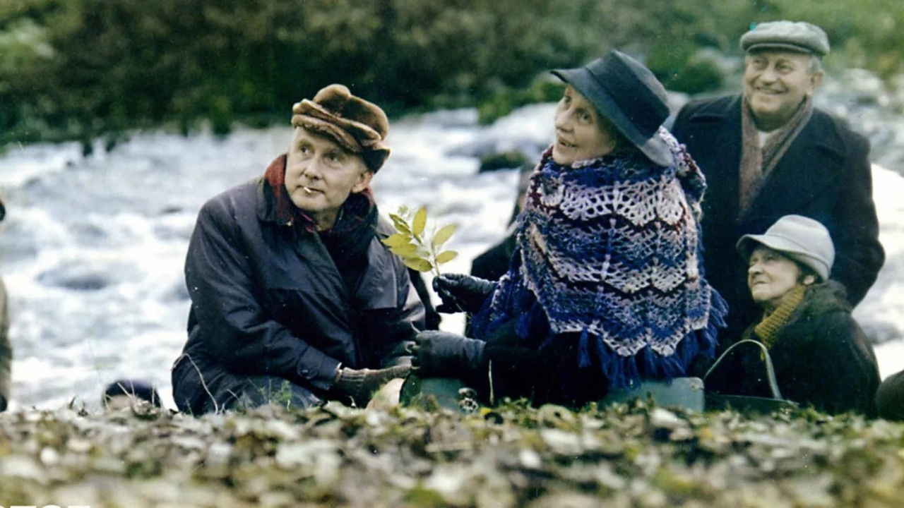 The Weather Forecast backdrop