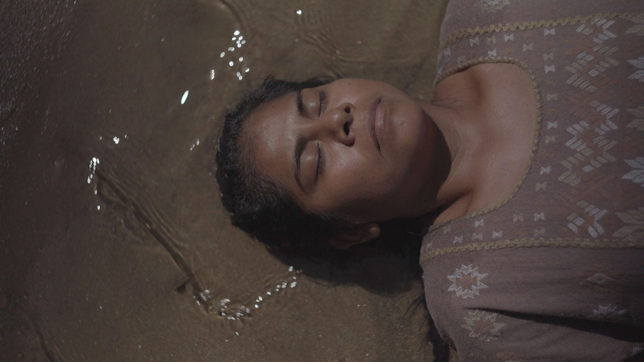 Prairie Flowers backdrop