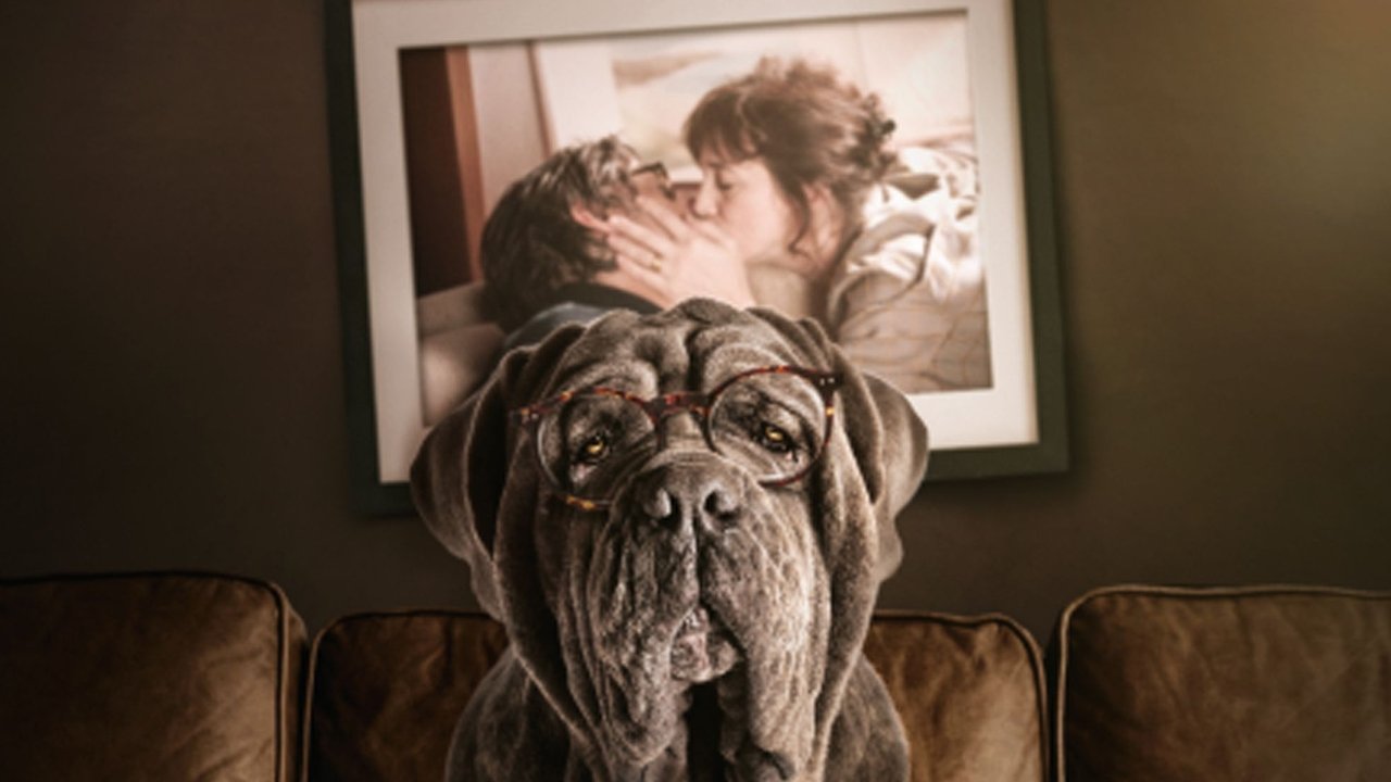 My Dog Stupid backdrop