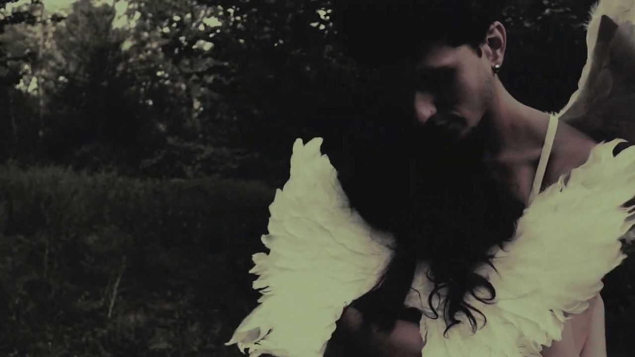 Ángeles de Medianoche backdrop